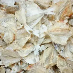 

Ikan asin Pakang ( tipis ) 250 Gram