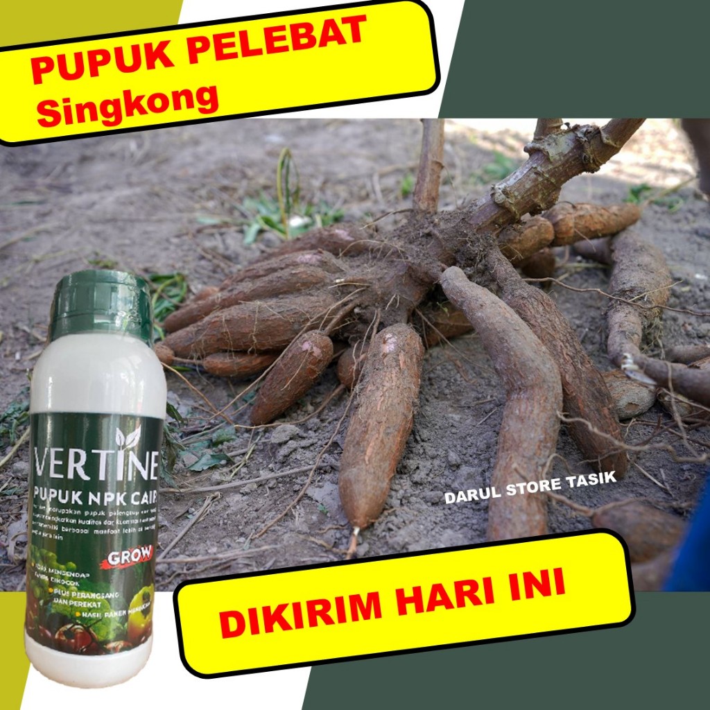 Pupuk NPK Cair Penyubur Singkong Umbi Besar Panjang, Panen Maksimal, Nutrisi Lengkap Tanaman Umbi, B