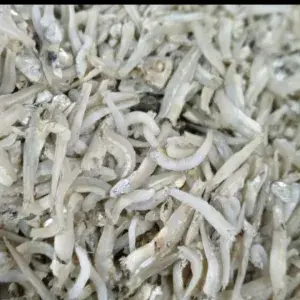 

Ikan Teri Lampung 250 gram