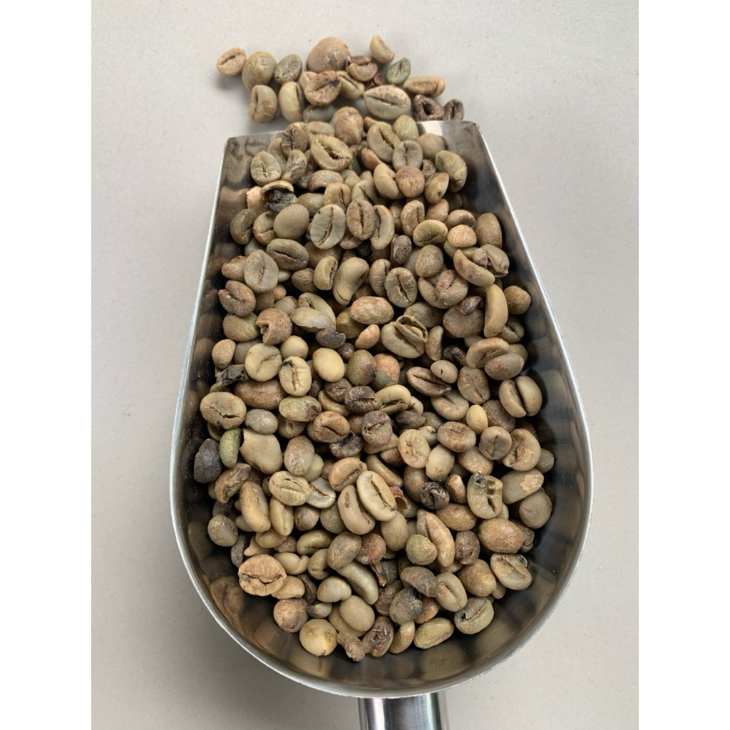 

Biji Kering Kopi Robusta PREMIUM kelas 2 ( 1 Kg ) | Alami di Sumatera Barat | Green Bean