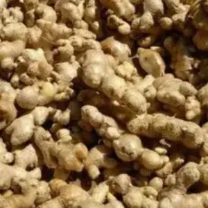 

Jahe emprit 250 Gram