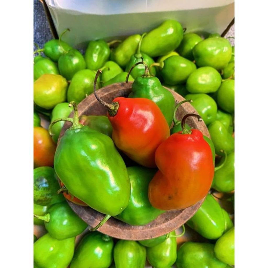 

cabe gendot 200gr / cabe gendot fres bandung