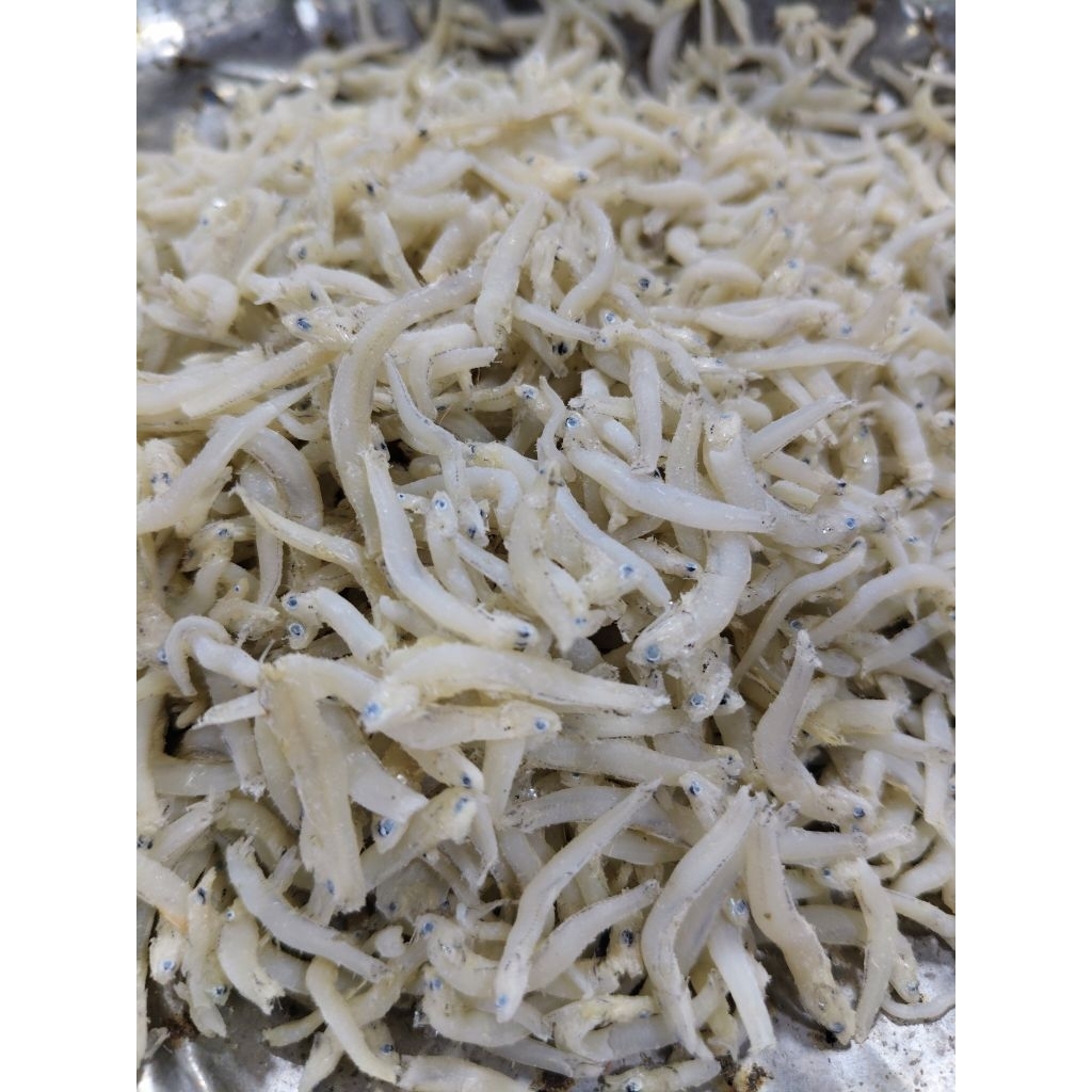 

Ikan Teri Toge SUPER