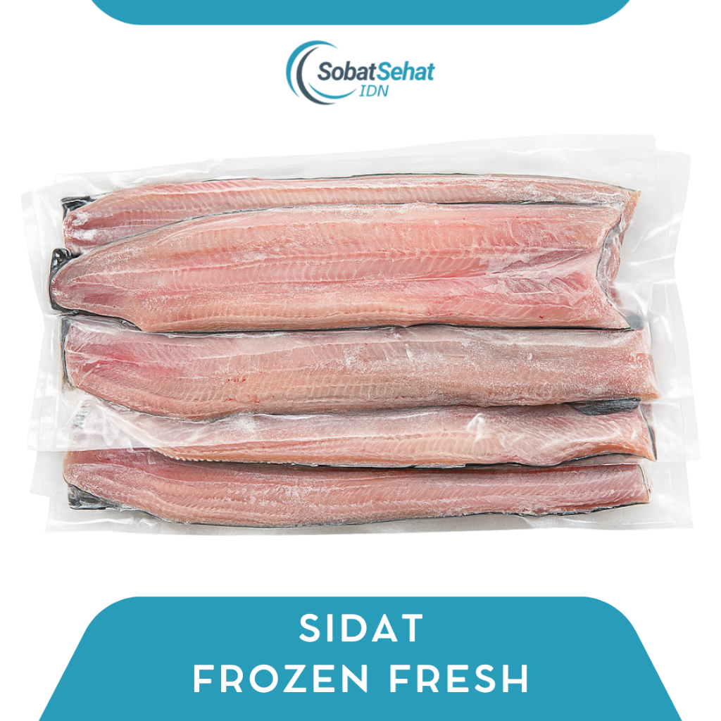 

Sidat Frozen Fresh – Premium Quality