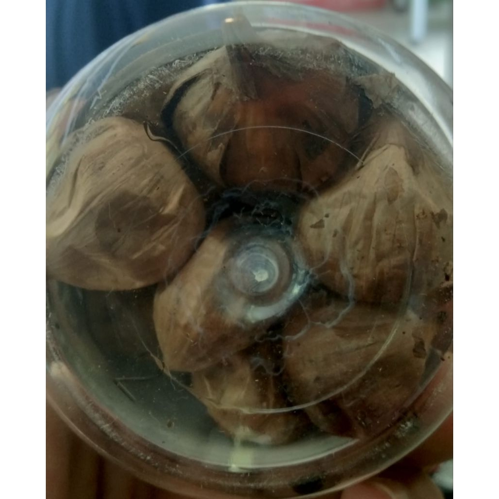 

Black Garlic Alsyifa