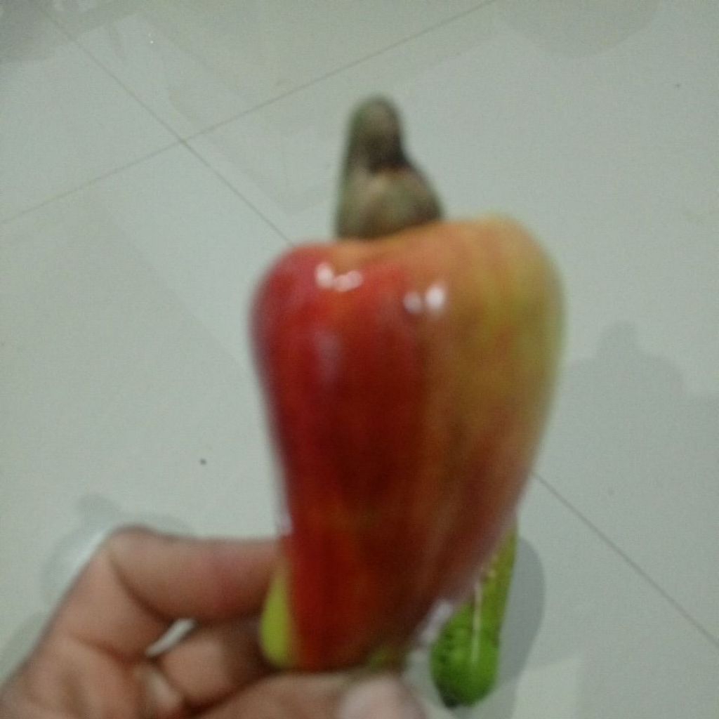 

jambu mente/jambu monyet 1000g