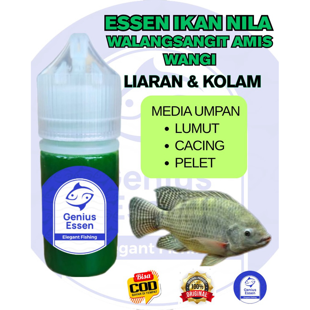 ESSEN IKAN NILA AROMA WALANGSANGIT AMIS WANGI essen ikan nila liaran essen ikan nila kolam essen ika