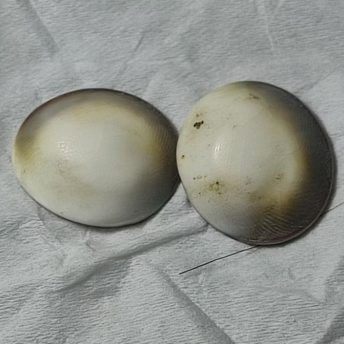 Batu kol buntet asli 2 pics