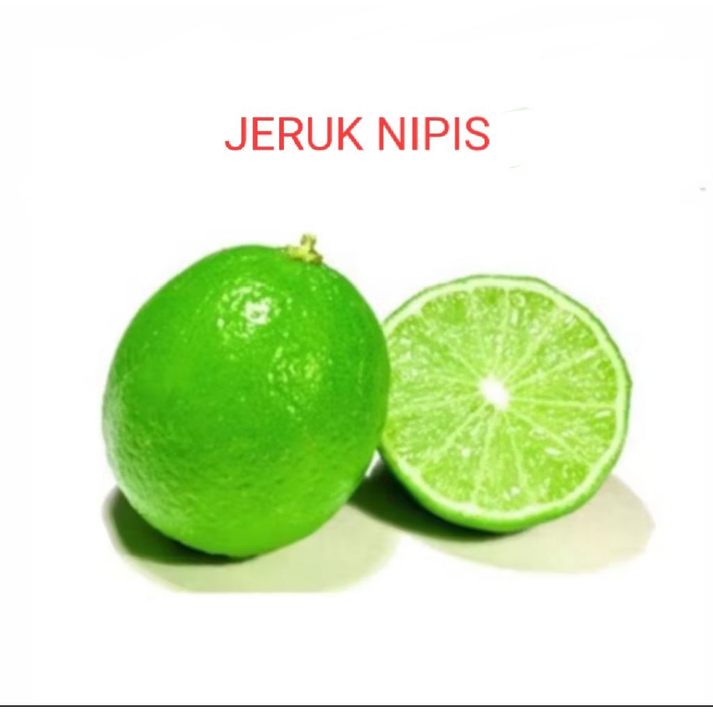

JERUK NIPIS SERBA 5000