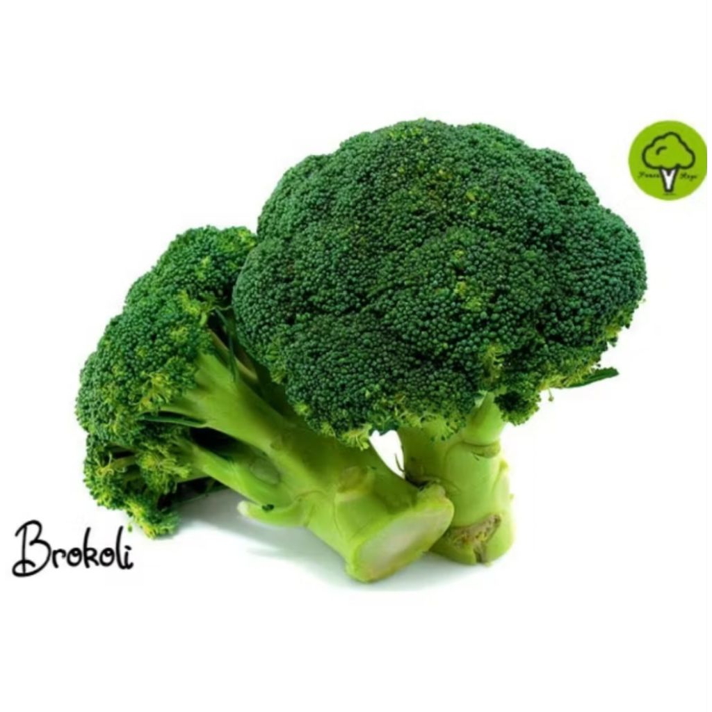 

BROKOLI SEGAR PER PCS