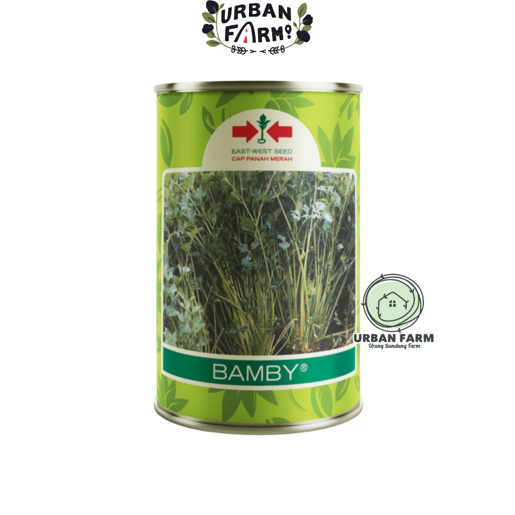 Benih Seledri BAMBY 50gram | Bibit Seledri Bamby Kaleng Cap Panah Merah