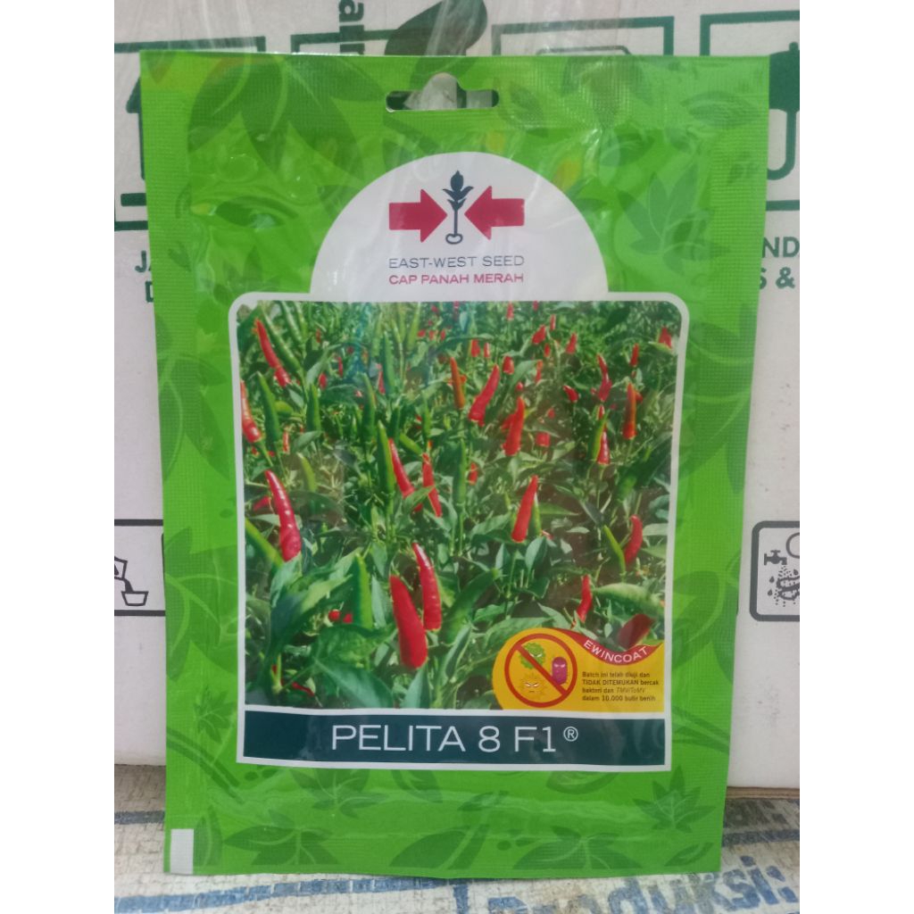 Bibit cabe rawit pelita 8 f1 cap panah merah