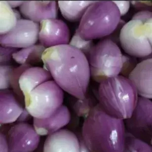 

Bawang Merah Kupas 100 gr