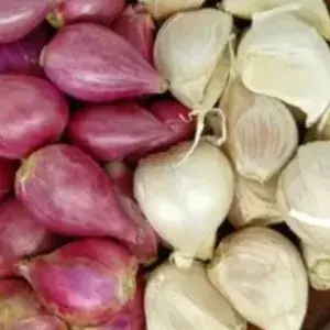 

Bawang Merah + Bawang Putih 100 Gram