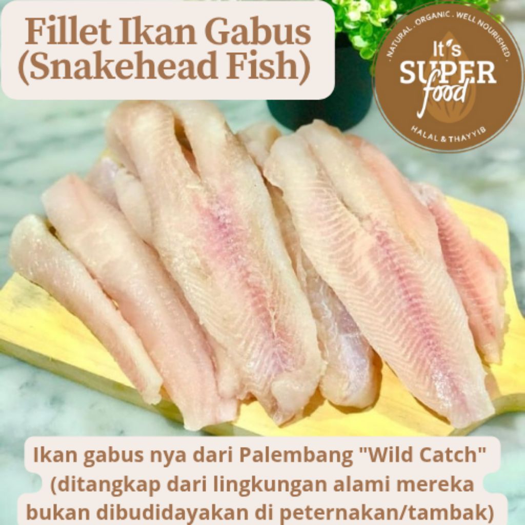 

Fillet Ikan Gabus (Snakehead Fish) Wild Catch Berat 500gr