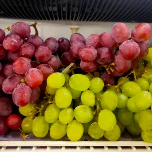 

anggur merah australian 250g