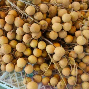 

lengkeng/kelengkeng bangkok thailand 1kg