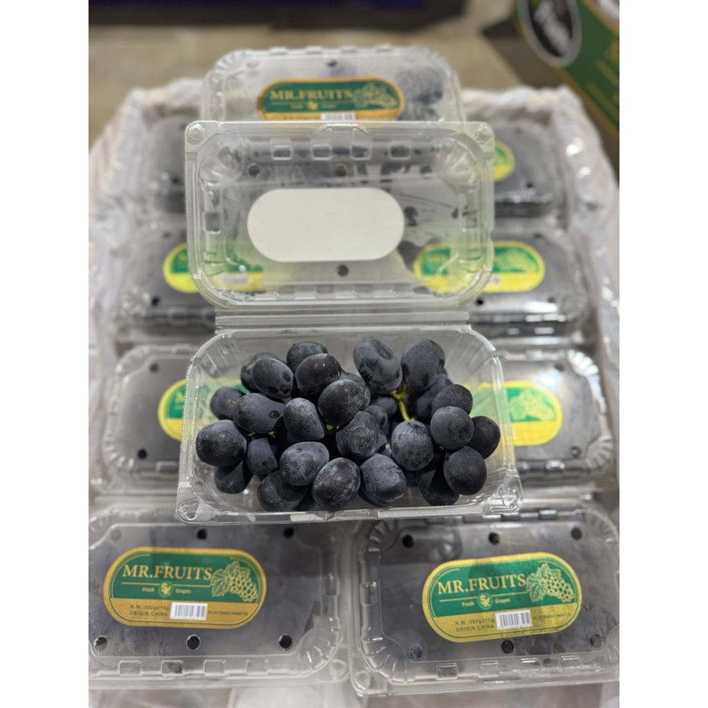 

Anggur Autumn ( Berbiji )