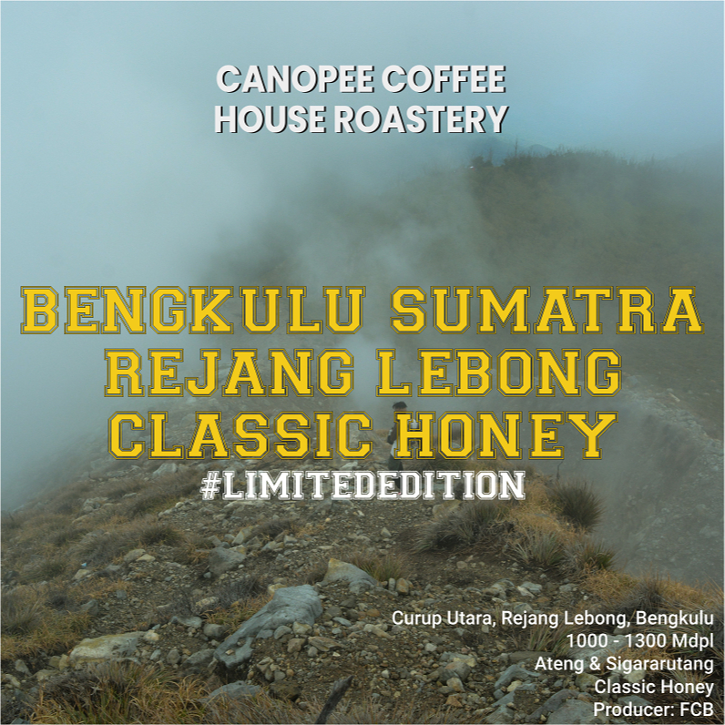 

Arabika "BENGKULU SUMATRA Rejang Lebong" - Limited Edition Series