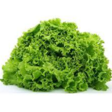 

Slada Lalap Kriting 250Gr