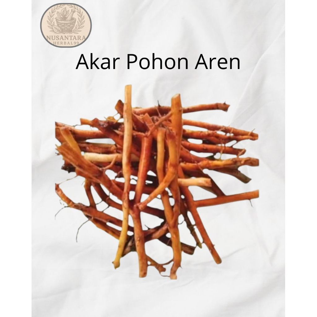 

Akar Aren Segar-Akar Aren Bersih Kemasan 500gram