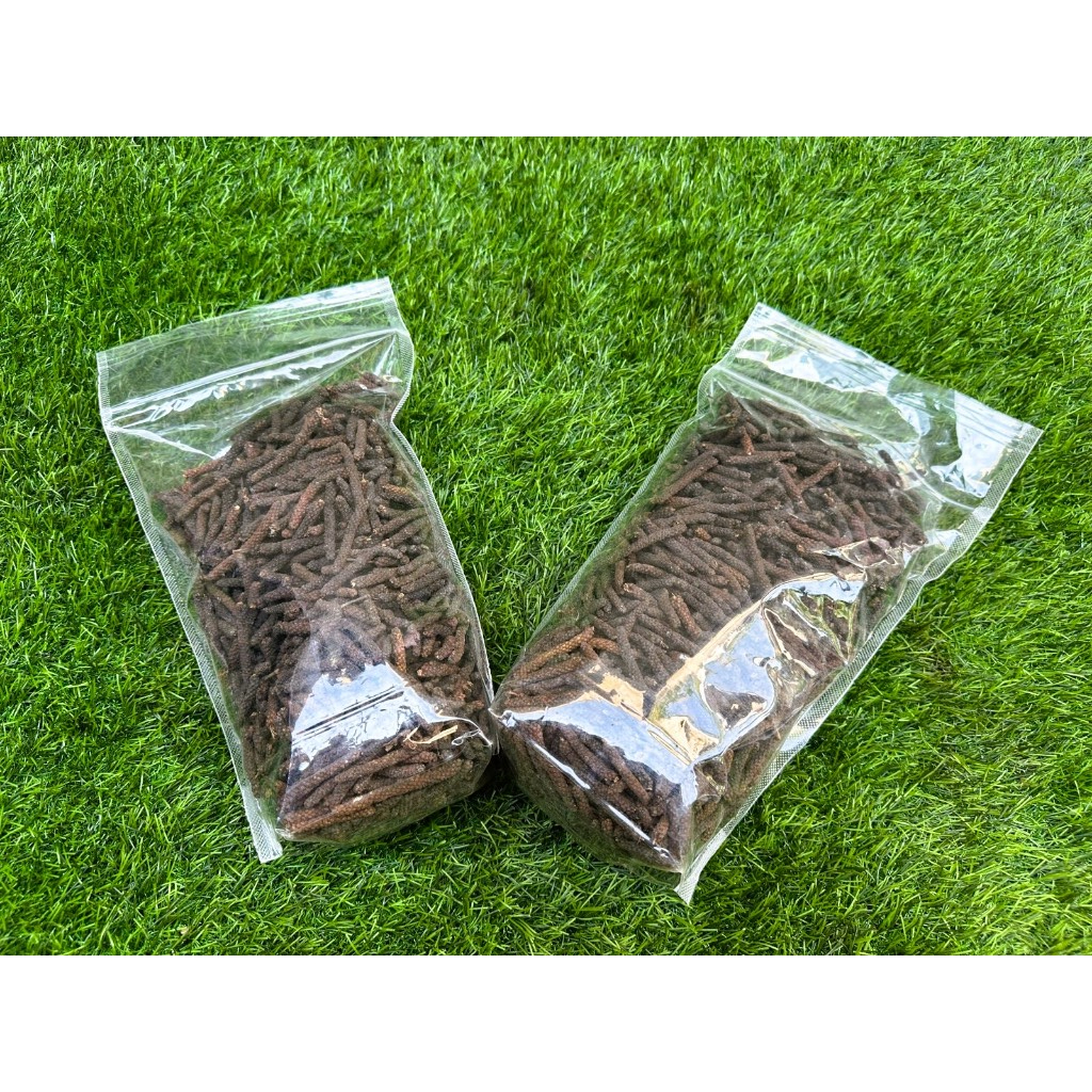 

Cabai Jamu Jawa Hasil Budidaya Sendiri – Segar & Berkualitas