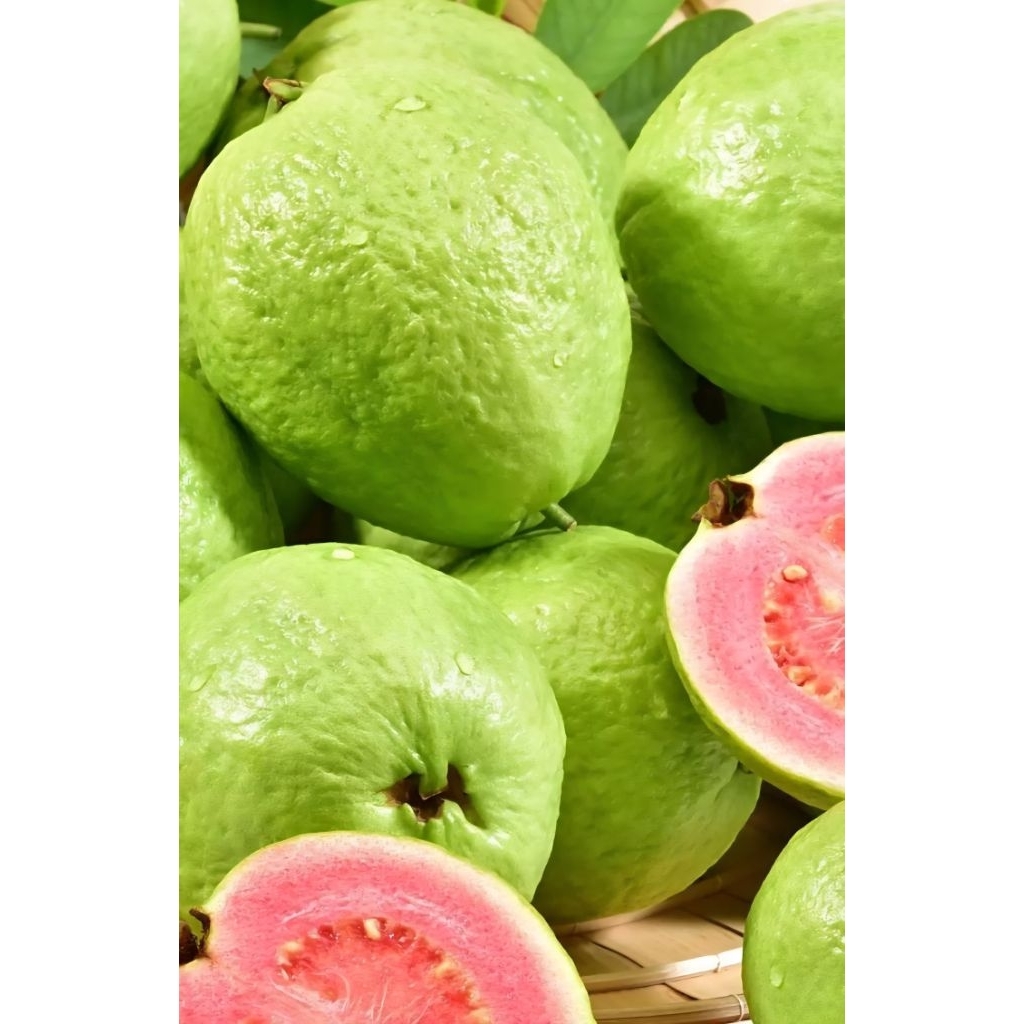 

Jambu biji merah/jambu merah segar dan manis / Guava / Jambu Ktistal GUAVA COD