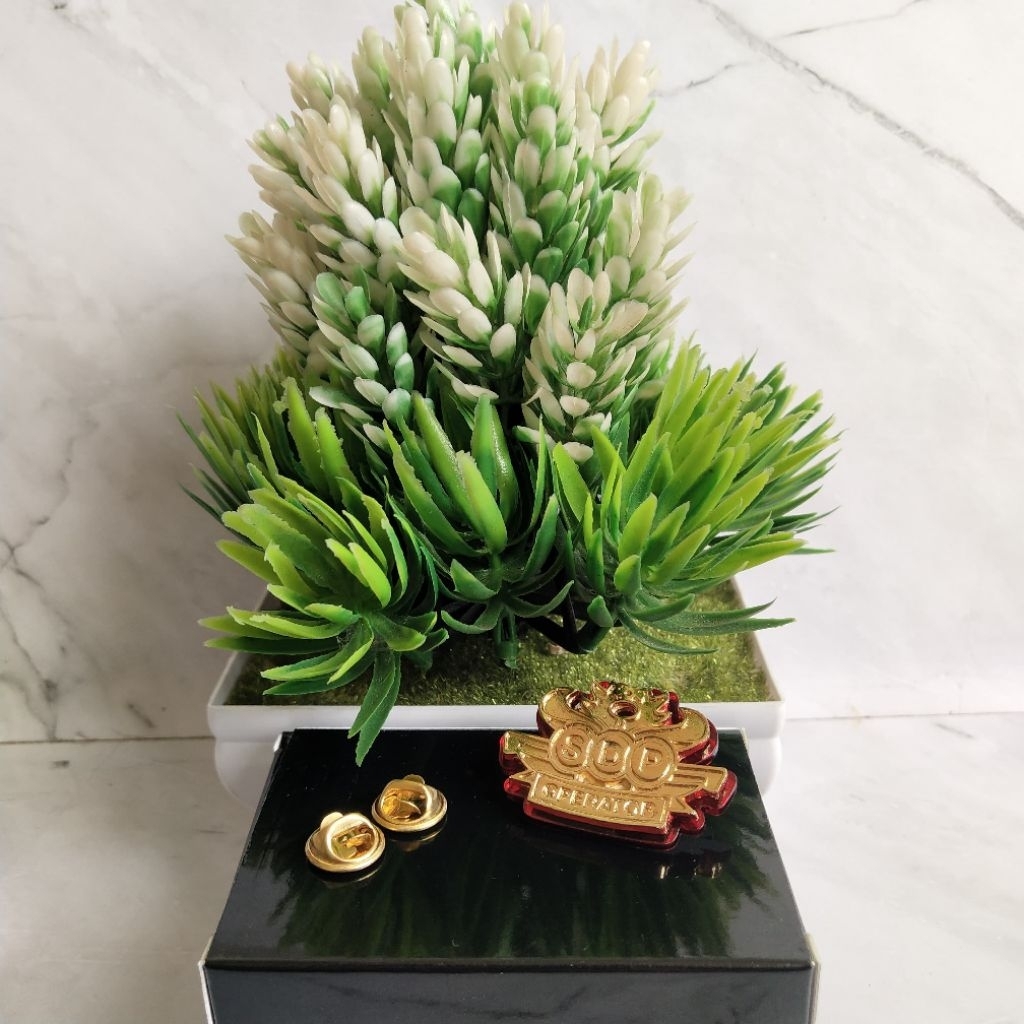 PIN IMIPAS SDP OPERATOR terbaru