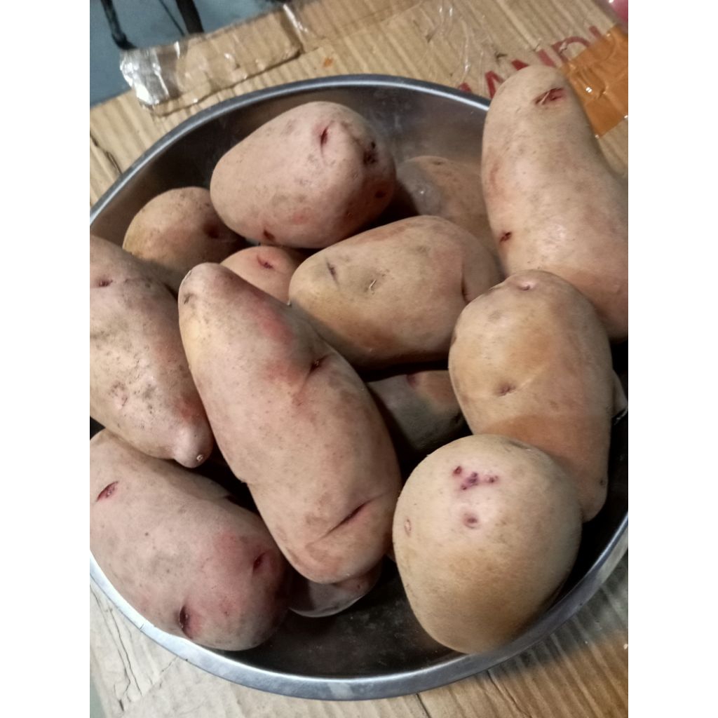 

Kentang Merah Fresh 500 gr