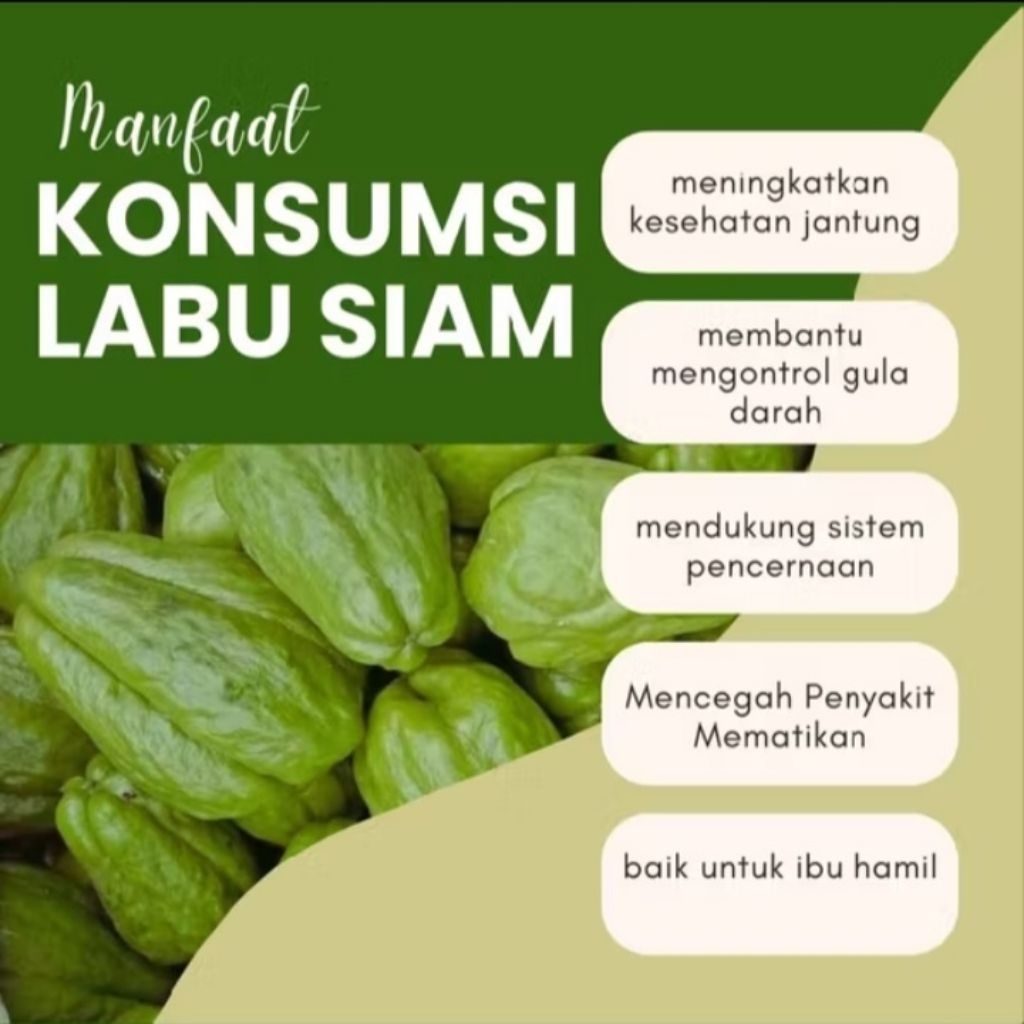 

labu siam / jipang / waluh 1kg (1000gram) fresh langsung dari petani