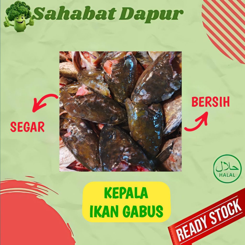 

Kepala Ikan Gabus Segar - Ikan Sayur Segar Palembang
