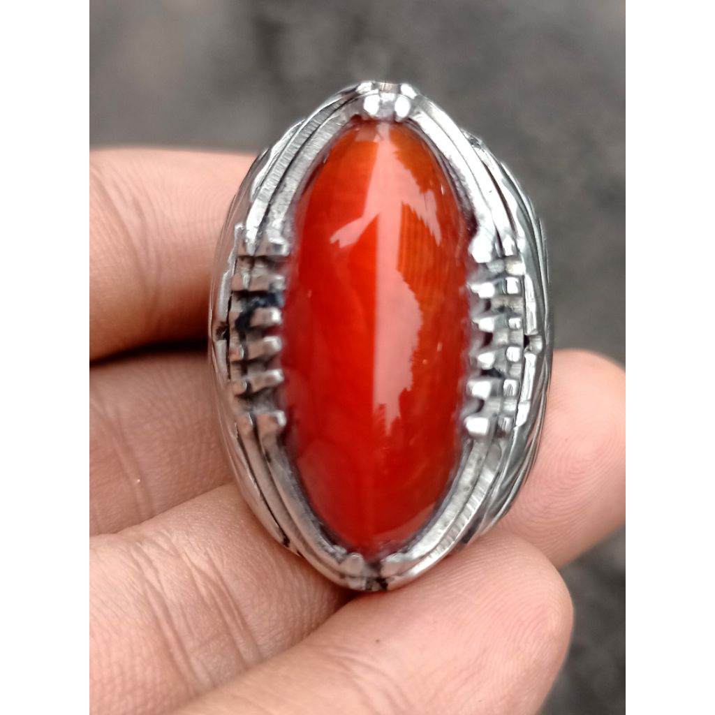 Pandan Merah Jamblang