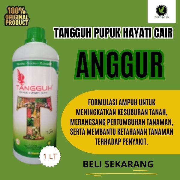 Tangguh Pupuk Hayati Organik Cair Untuk Anggur / Pupuk Organik Cair Anggur 1Lt Dekomposer Multiguna