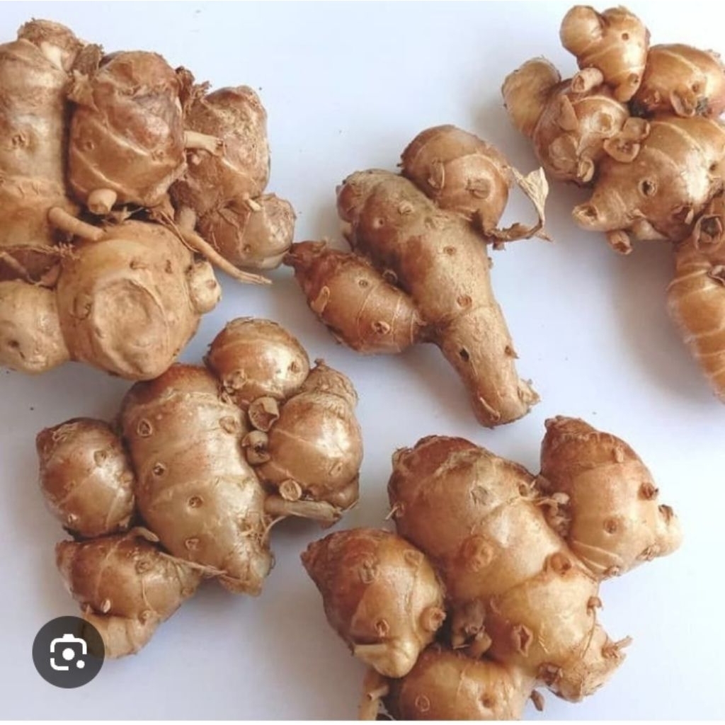 

250g lengkuas kencur cikur