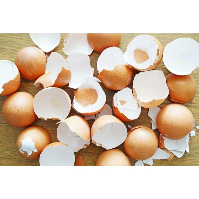 

Kulit Telur/Cangkang Telur Ayam Negeri Kering Bersih Setengah Utuh/Remuk Untuk Kerajinan Anak Kolase Telur 100g 250g 500g