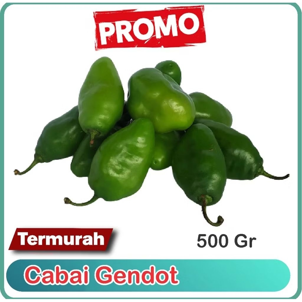 

Cabe Gendot / Bendot Segar Fres Isi 500gr Paket Hemat Buah/Sayuran Cabe Gendot