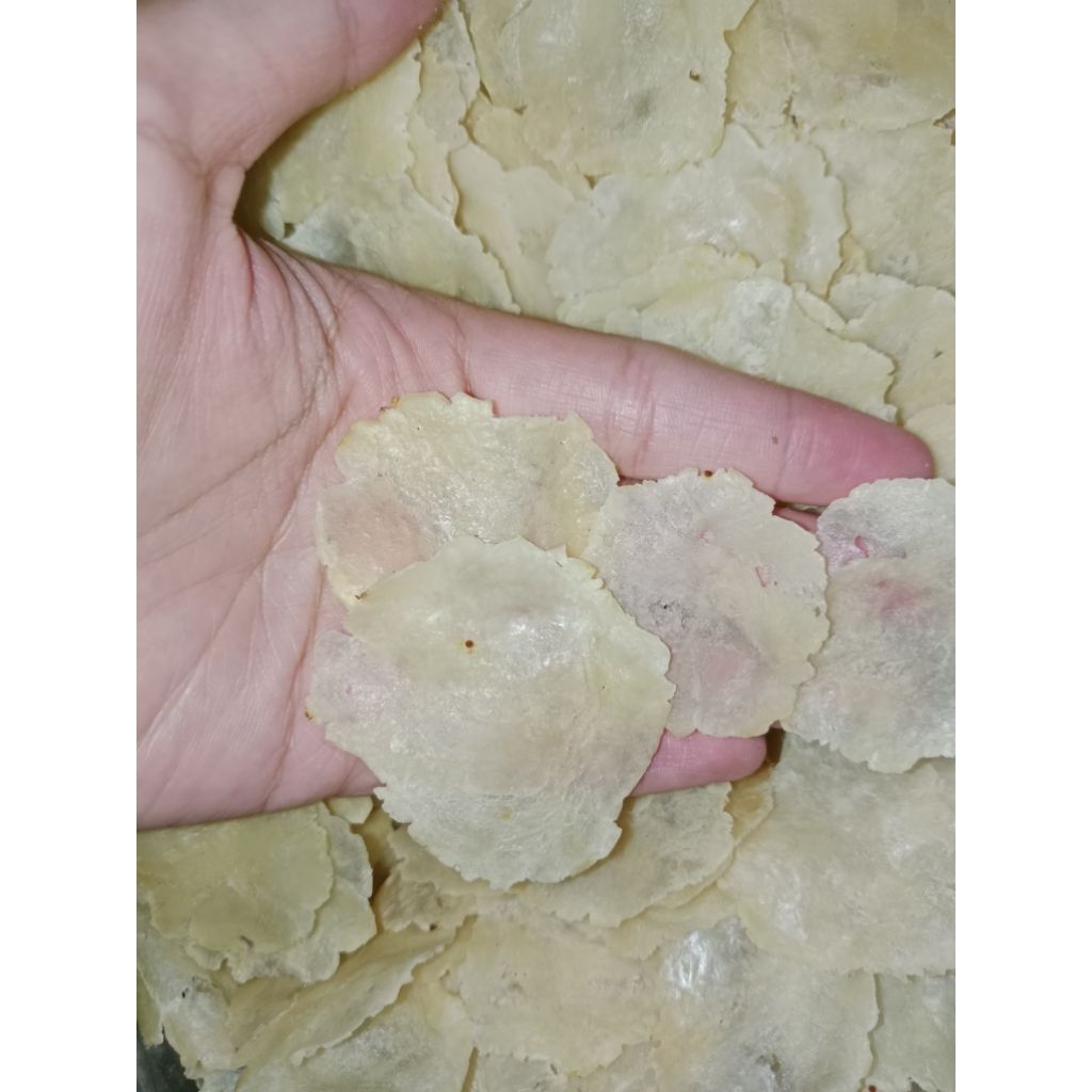 

EMPING MELINJO SUPER RENYAH BIJI 1 ( 500gram ) ASLI BANTEN