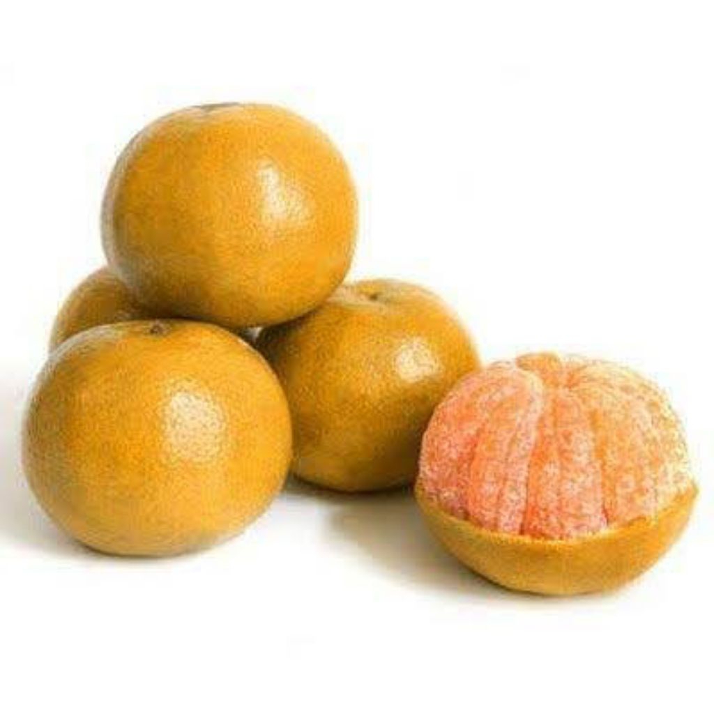 

Jeruk Madu Manis Fresh / Jeruk Medan (Buah Segar)