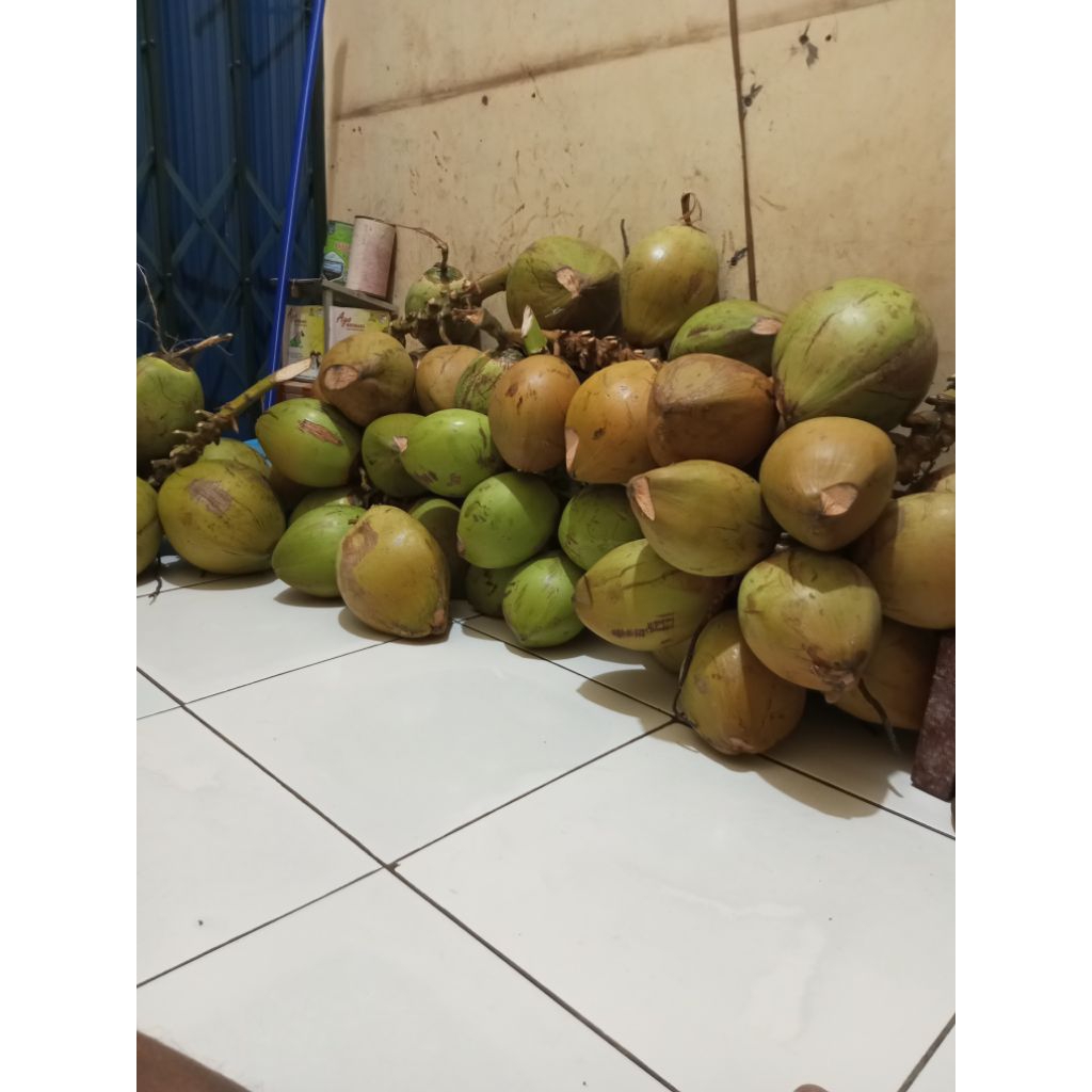 

kelapa Wulung/ijo dari baduy rangkasbitung banten