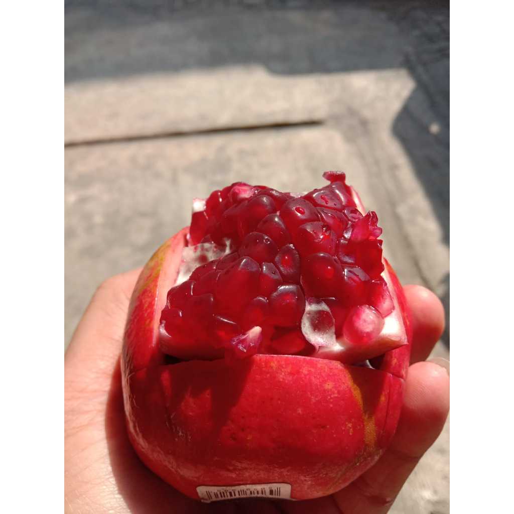 

DELIMA. BUAH DELIMA POMEGRANATE. POME BUAH DELIMA