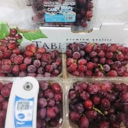 

Anggur candy snpas wangi 454 gram /pack