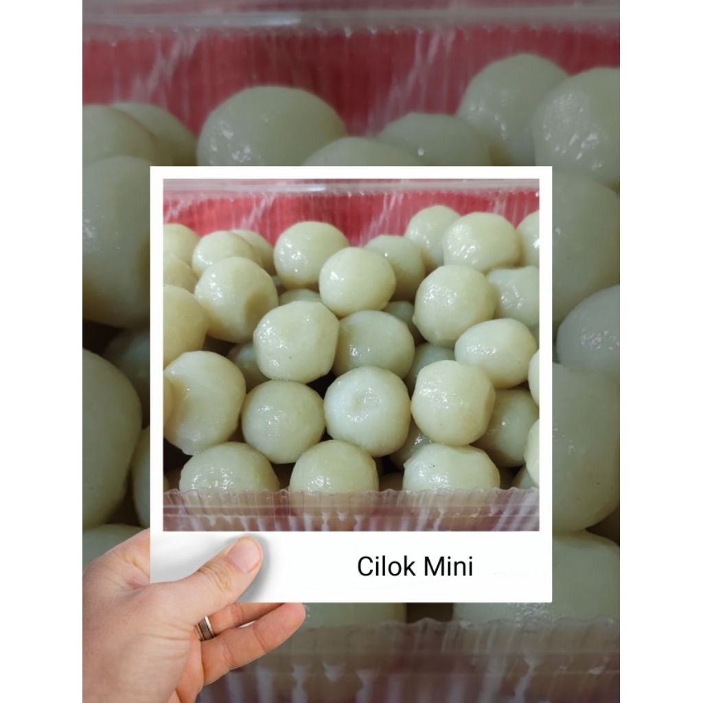 

Cilok Mini 100 butir