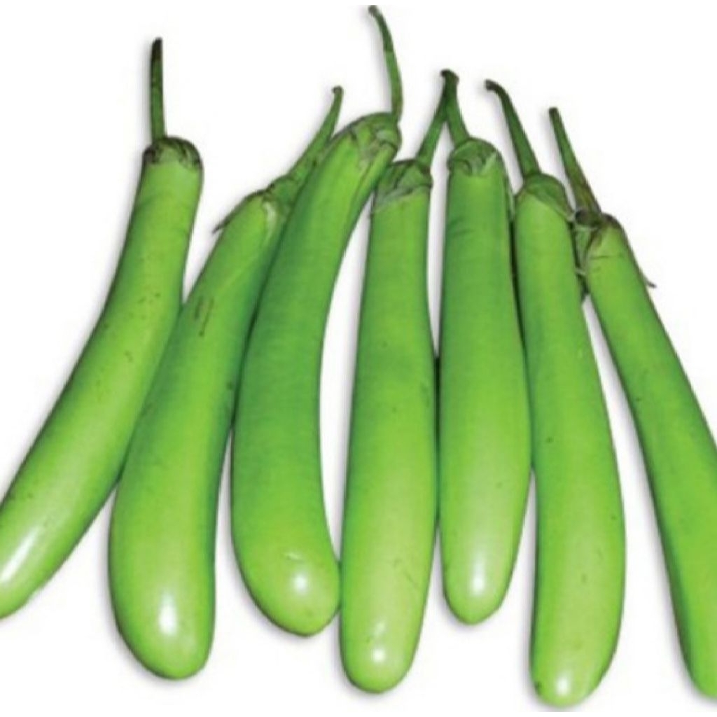 

terong hijau panjang