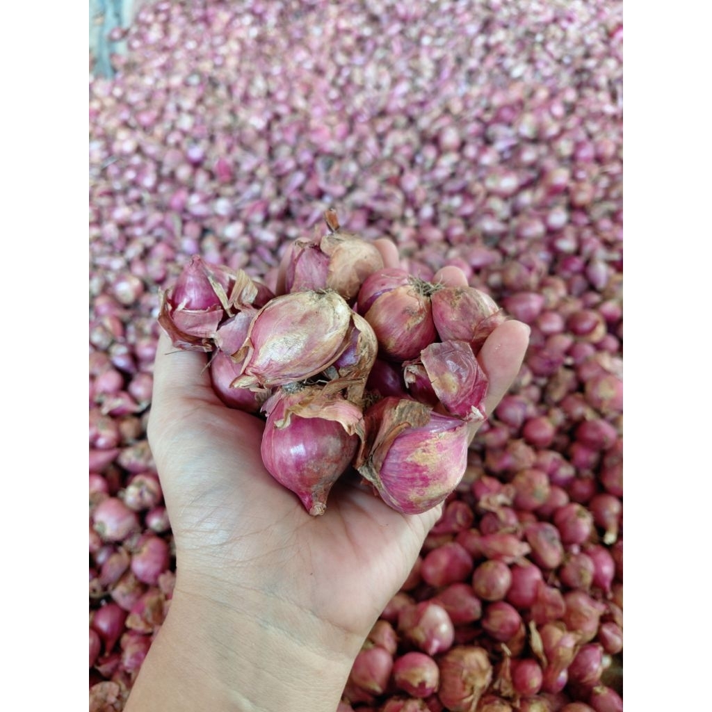 

Bawang Merah Bersih Berat 500gram