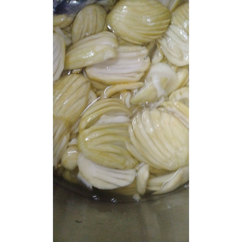 Manisan mangga muda / pelem