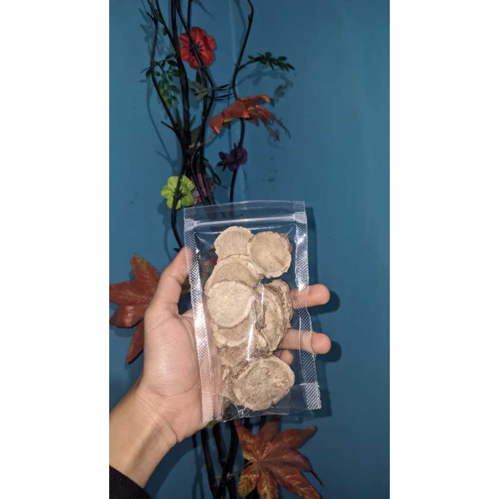 

Terbaru 50 gram jamu Temu ireng kering koin berkhasiat