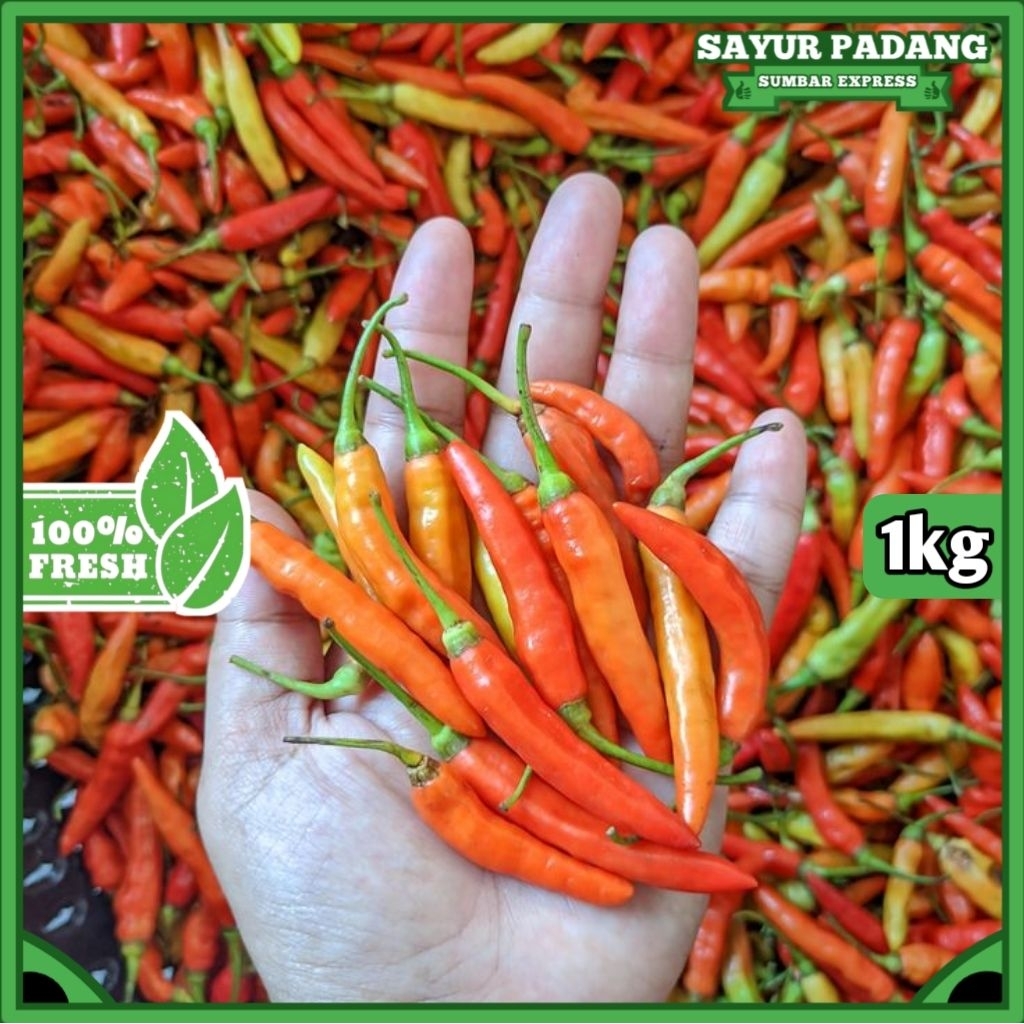 

Cabai / cabe rawit merah 1kg fresh (dipetik saat mau dikemas)