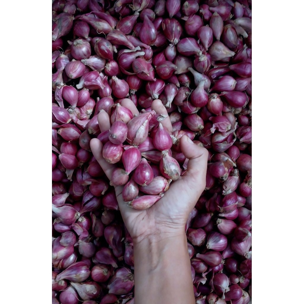 

BAWANG MERAH BREBES Asli KERING 200gr