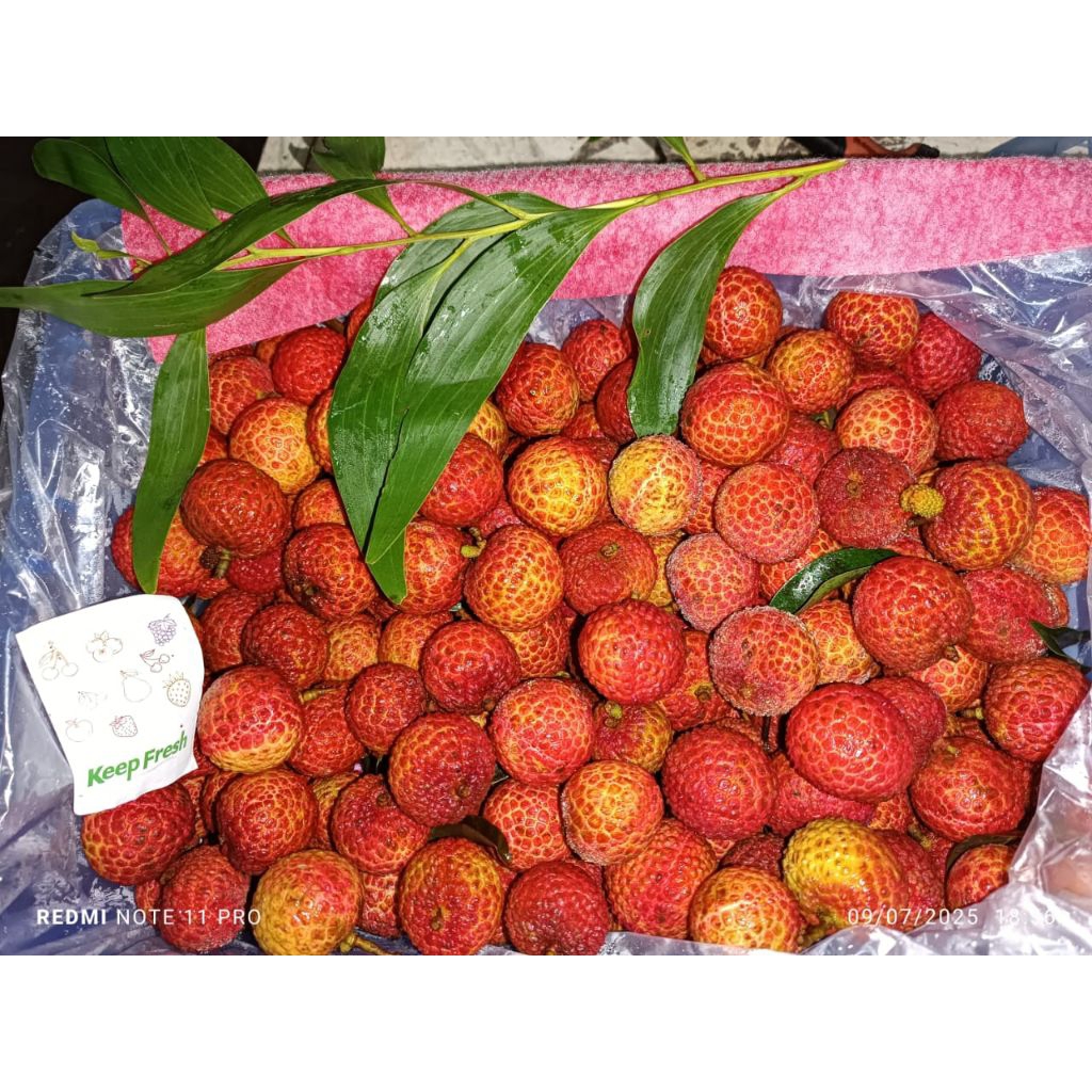 

Lychee fresh 500gram