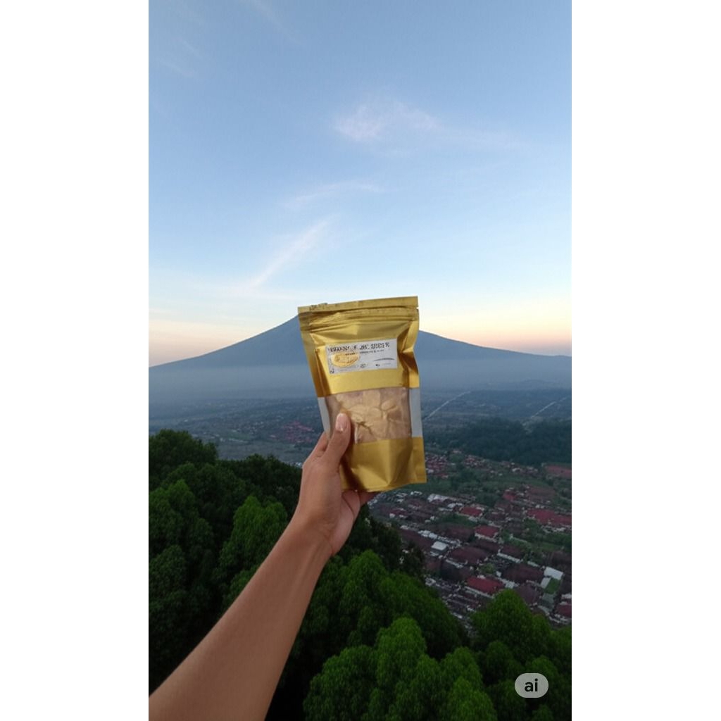 

Cemilan pisang madu 110 gram